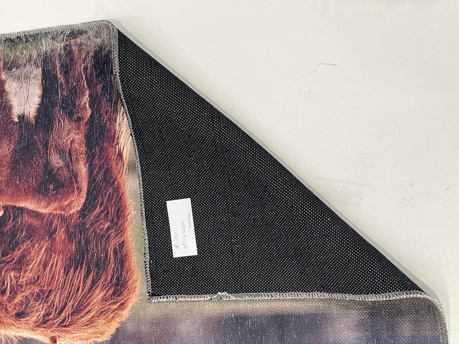 IMG-20251004-WA0928 Defolu Şönil Kilim - 80x200cm E269H - Görsel 3