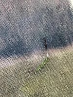 Defolu Şönil Kilim - 80x200cm E269H - Görsel 4